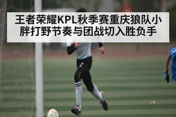 王者荣耀KPL秋季赛重庆狼队小胖打野节奏与团战切入胜负手
